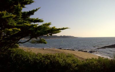 Away from the office